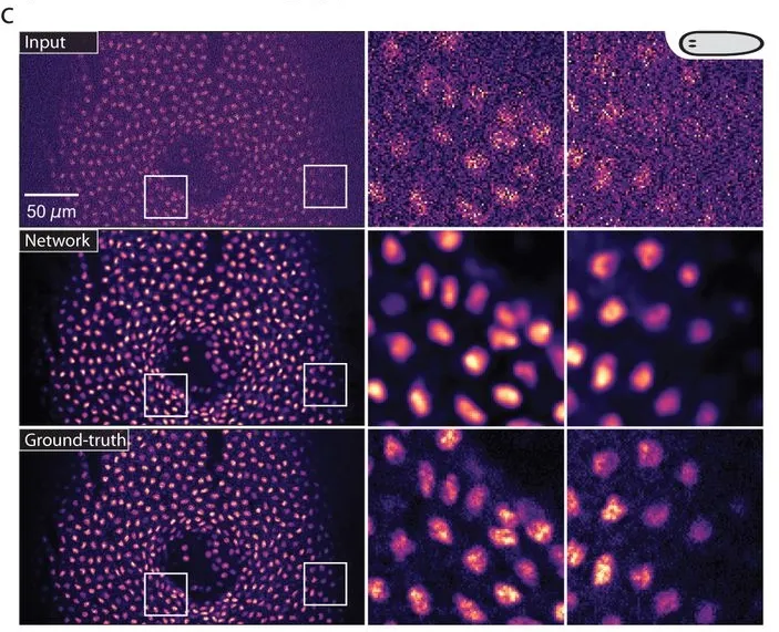 CAREによる画像復元の例
